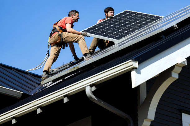 Best Skylight Installation and Repair  in Denison, IA