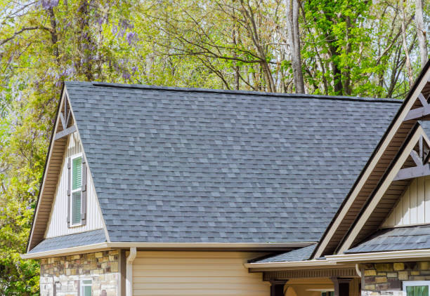 Best Roof Ventilation Installation  in Denison, IA