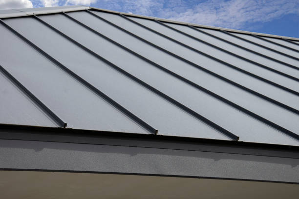 Best Solar Panel Roofing Installation  in Denison, IA