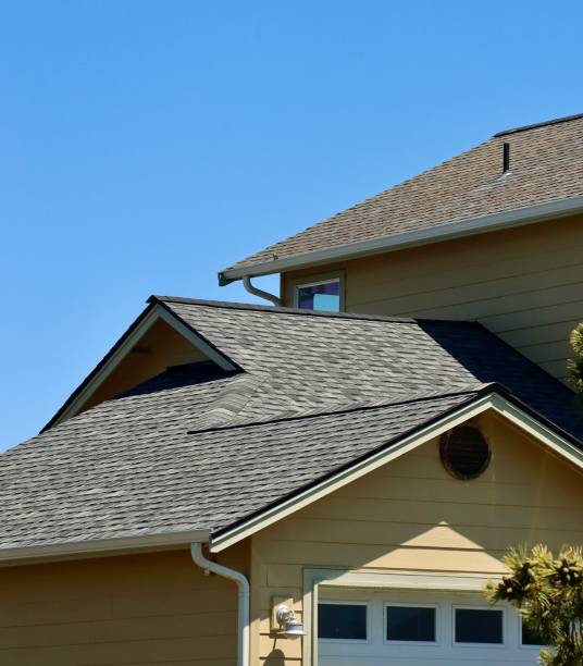 Best Roof Moss and Algae Removal  in Denison, IA